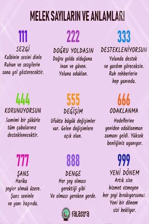 925 Gümüş Melek Sayıları Kolye